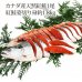 画像1: カナダ産天然紅鮭 姿切り身 約1.7kgから1.9kg (1)