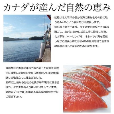 画像4: カナダ産天然紅鮭 姿切り身 約1.7kgから1.9kg